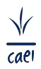 CAEI-removebg-preview.png